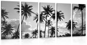 Εικόνα 5 τμημάτων καρύδας στην παραλία σε μαύρο & άσπρο - 200x100