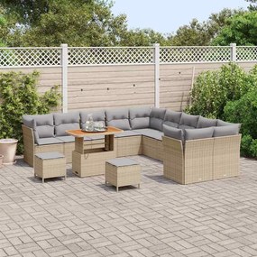 vidaXL Σετ Καναπέ Κήπου 13 pcs Μπεζ συνθετικό ρατάν