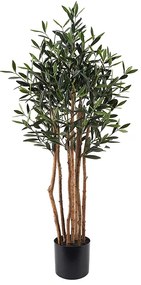 Διακοσμητικό φυτό σε γλάστρα Olia Inart πράσινο Φ52x120εκ