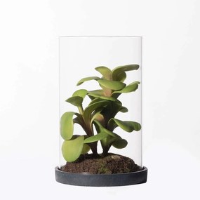 Τεχνητό Φυτό Κρασούλα Ovata 3260-6 15,5cm Green Supergreens Πολυαιθυλένιο