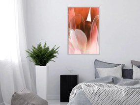 Αφίσα - Tulip Petals - 40x60 - Μαύρο - Με πασπαρτού