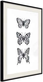 Αφίσα - Butterfly Collection III A - 30x45 - Μαύρο - Με πασπαρτού