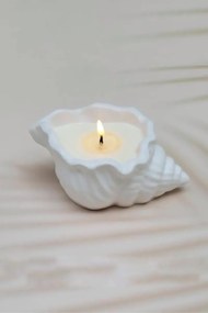 Stewehome Κερί με σχέδιο κοχύλιού θάλασσας 8x7 cm