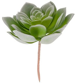 Τεχνητό Φυτό Hen Succelent Pick PT3662 17,8x14,7x19cm Green Present Time Plastic