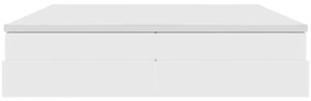 vidaXL Κρεβάτι με αποθηκευτικό χώρο και στρώμα Λευκό 200 x 200 cm