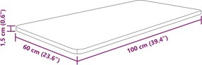 vidaXL Πάγκος Μπάνιου Αν. Καφέ 100x60x1,5 εκ. Επεξ. Μασίφ Ξύλο