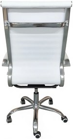 Καρέκλα γραφείου Cygon-Leuko