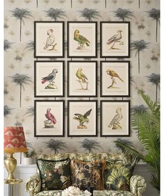 Κάδρο Parrots Of Brasil I FA13211 40X50 MindTheGap Horizontal Ξύλο