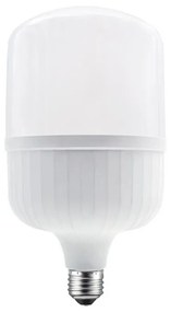 Λαμπτήρας Led P12939cw E27 39W 6000K 3800lm Aca