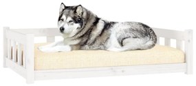 Κρεβάτι Σκύλου Λευκό 105,5x75,5x28 εκ. από Μασίφ Ξύλο Πεύκου - Λευκό