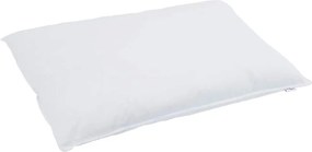 vidaXL Μαξιλάρι με μαξιλάρι Λευκό 40 x 80 cm Φτερό