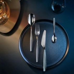 Σετ μαχαιροπήρουνων WMF Sentic Cromargan Protect, 30 τεμάχια, Ανοξείδωτο ατσάλι 18/10, Προστασία από γρατσουνιές και φθορές, Ασημί