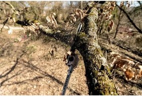 Αλυσοπρίονο ξίφος Metabo MA-MS 25