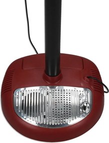 Παιδική Kιθάρα Reig Μικρόφωνο