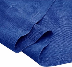 vidaXL Χαλί Σκηνής Μπλε 400 x 600 εκ. από HDPE