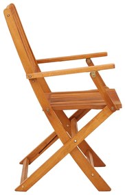 vidaXL Καρέκλες Εξωτ. Χώρου Πτυσσόμενες 4 τεμ. Μασίφ Ξύλο Ευκαλύπτου