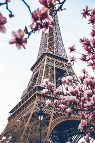 XXL Αφίσα Paris - Eiffel Tower, (80 x 120 cm)