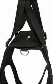 Περιπατητής σκύλων Trixie