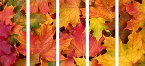 5 μέρη εικόνα φθινοπωρινά φύλλα - 100x50