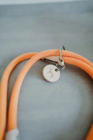 Λουρί Σκύλου Hunter MALIA Πορτοκαλί 1 x 200 cm