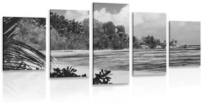 Παραλία με εικόνα 5 μερών στο νησί La Diguo σε ασπρόμαυρο - 100x50