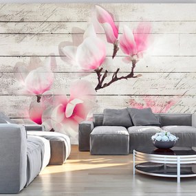 Φωτοταπετσαρία - Gentleness of the Magnolia 350x245