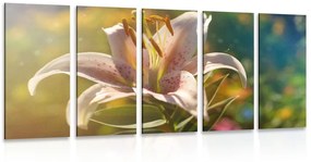 Εικόνα 5 μερών ενός όμορφου λουλουδιού με ρετρό πινελιά