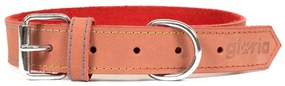 Κολλάρο Σκύλου Gloria Oasis Κόκκινο (1,5 x 40 cm)