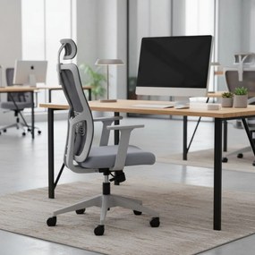 Office Chair Set (2 Pieces) Lumbar 126 - Grey Grey