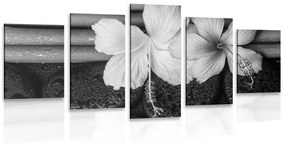 Νεκρή φύση ευεξίας εικόνων 5 μερών σε ασπρόμαυρο - 100x50