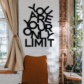 Decorative Metal Wall Accessory Limit Black