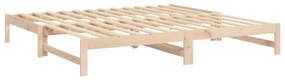 vidaXL Καναπές Κρεβάτι Συρόμενος 2x(100x200) εκ. από Μασίφ Ξύλο Πεύκου