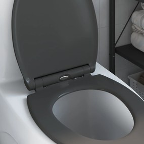 vidaXL Λεκάνη Ανθρακί 45,5 x 37,5 x 3,8 εκ. Δυροπλάστ