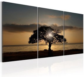 Πίνακας - Extraordinary Nature 120x60