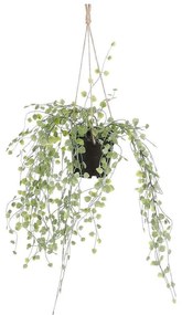 Τεχνητό Κρεμαστό Φυτό String Of Turtles 8151-7 9x9x46cm Green Supergreens Πολυαιθυλένιο
