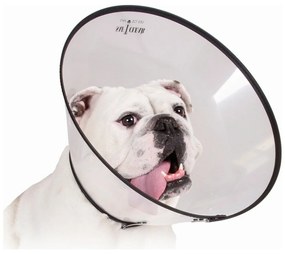 Ελισαβετιανό Κολάρο για Σκύλους KVP Saf-T-Clear Διαφανές (25-38 cm)