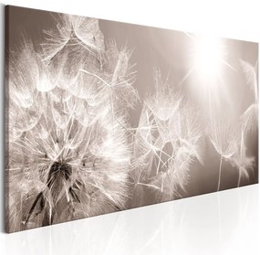 Πίνακας - Summer Dandelions 150x50