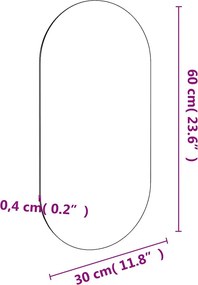 vidaXL Καθρέφτης 60 x 30 εκ. Γυάλινος