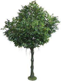 MarHome ΔΕΝΤΡΟ ΜΠΕΝΖΑΜΙΝ ΓΙΓΑΣ REAL TOUCH Υ300cm 1/ΚΙΒ  04-18723