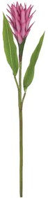 Τεχνητό Λουλούδι Αλπινία 00-10022-2 85cm Fuchsia-Green Marhome Πλαστικό, Ύφασμα