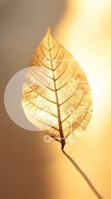 Σετ των 2 Intra Συλλεκτικό Ξύλινο Παζλ Plywood 4mm - Φωτισμένο φύλλο σε χρυσό φως Σε Ξύλινο Κουτί - Διαστάσεις: 10x10 cm – 25 κομμάτια