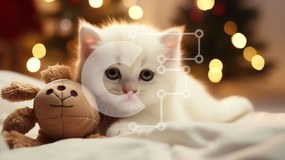 Σετ των 2 Intra Συλλεκτικό Ξύλινο Παζλ Plywood  4mm - Λευκό γατάκι που παίζει με το αρκουδάκι Σε Ξύλινο Κουτί - Διαστάσεις: 10x10 cm – 25 κομμάτια