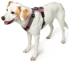 Λουρί Σκύλου Hunter Maldon Up Ροζ 50-84 cm