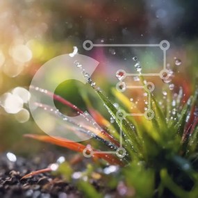 Intra Συλλεκτικό Ξύλινο Παζλ Plywood 4mm - Παχύφυτο με σταγονίδια νερού Σε Ξύλινο Κουτί - Διαστάσεις: 10x10 cm – 25 κομμάτια