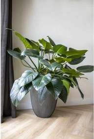 Γλάστρα Capi Europe Πλαστική ύλη Στρόγγυλο