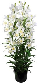 Τεχνητό Φυτό Ορχιδέα Cymbidium Orchid 2401-6 125cm White Supergreens Leather,Plastic
