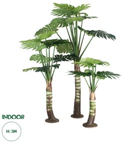 20090 GloboStar® Artificial Garden MONSTERA SET 20090 - Τεχνητό Διακοσμητικό Σετ Φυτών Μονστέρα A:Υ300cm B:Υ200cm C:Υ150cm