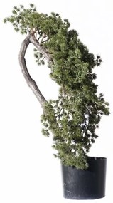 Supergreens Τεχνητό Μπονσάι Πεύκο Πράσινο 65 εκ.