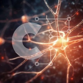 Intra Συλλεκτικό Ξύλινο Παζλ Plywood 4mm - Κοντινή εικόνα ενός νευρώνα με φωτεινά χρώματα Σε Ξύλινο Κουτί - Διαστάσεις Puzzle: 10x10 cm – 25 κομμάτια