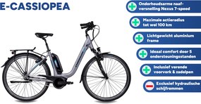 E-Cassiopea 28 Inch 50 cm Women 7SP Rim Brakes Silver grey